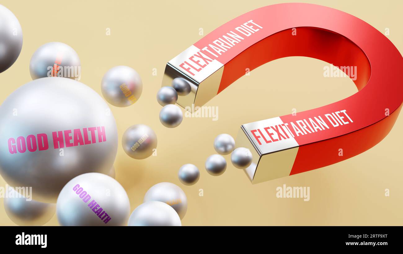 Régime flexitarien qui apporte une bonne santé. Une métaphore d'aimant dans laquelle le régime Flexitarian attire de multiples boules d'acier de bonne santé.,illustration 3D. Banque D'Images