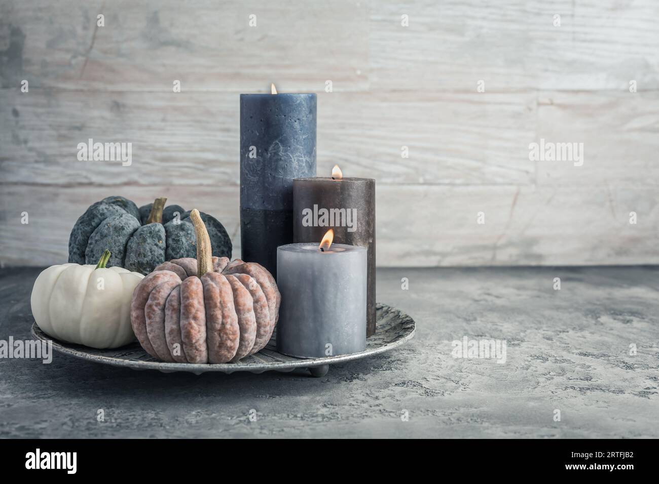 Composition d'humeur confortable automne automne pour la décoration de la maison hygge. Bougies et citrouilles pour Thanksgiving dans le ton gris Banque D'Images