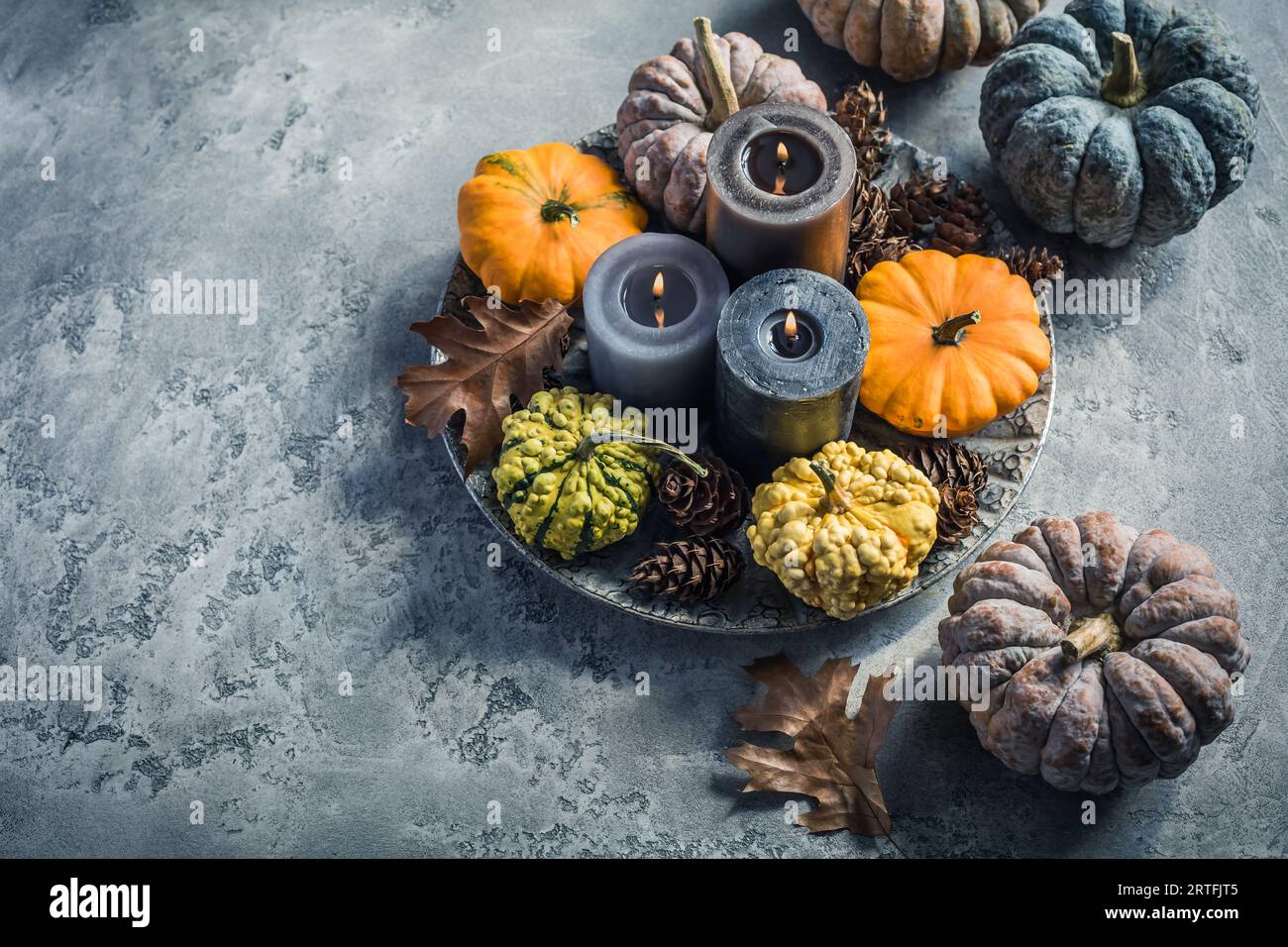 Composition d'humeur confortable automne automne pour la décoration de la maison hygge. Bougies et citrouilles pour Thanksgiving dans le ton gris Banque D'Images