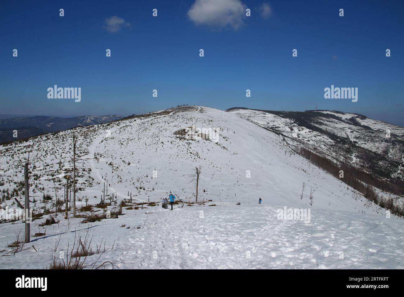 Beskids silésiens, entrée à Malinowska Skała en hiver dans la neige Banque D'Images