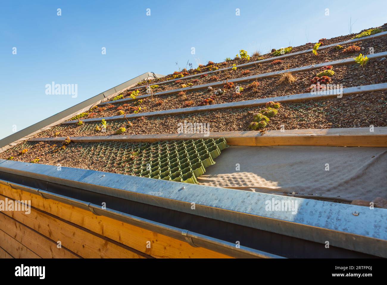 Concept de toiture verte avec drainage de gravier et plantes de sedum Banque D'Images