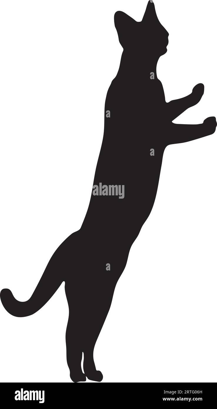 Silhouette de chat ou fichier vectoriel de chat noir Illustration de Vecteur
