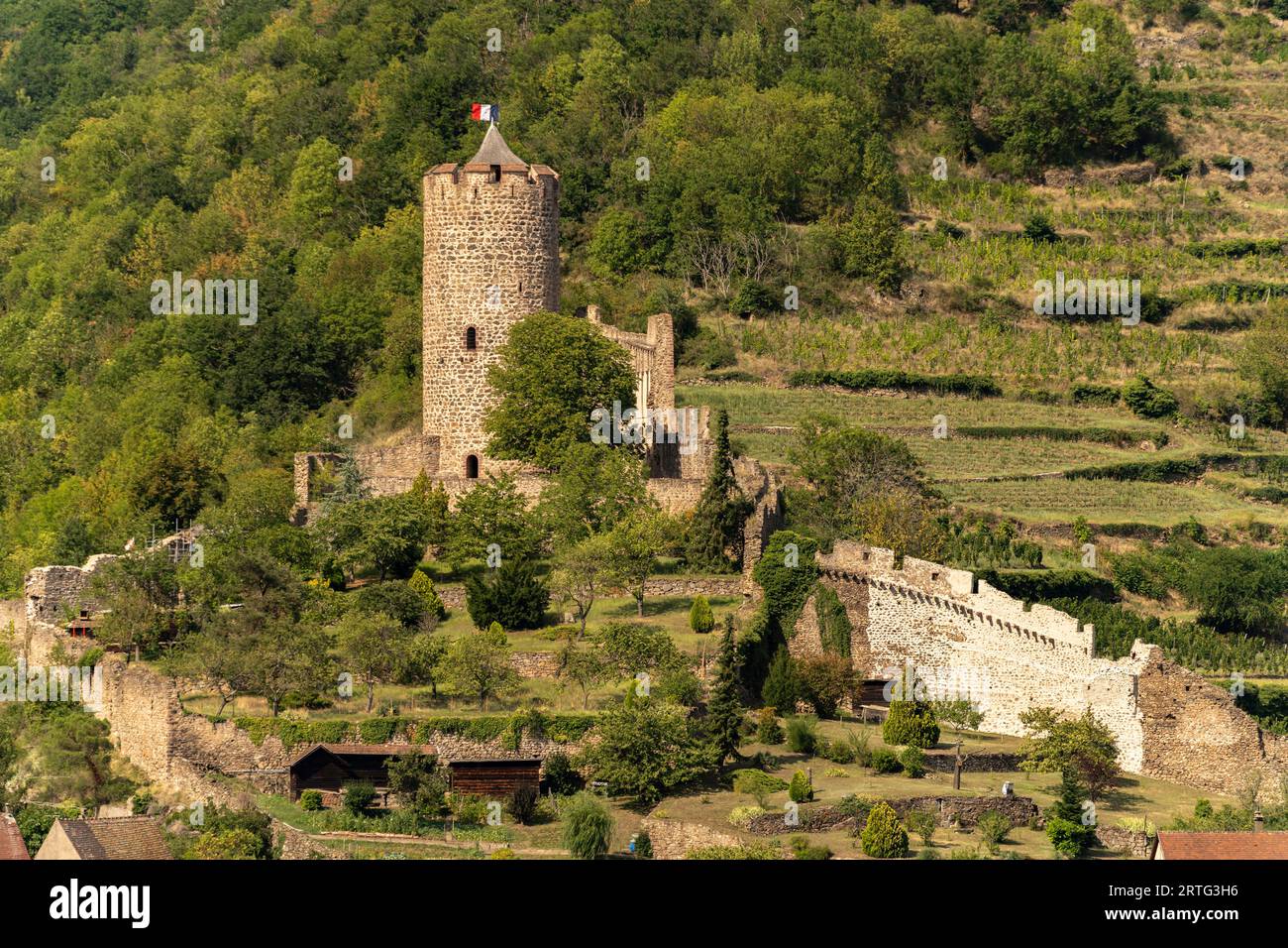 Die Burg Kaysersberg, Elsass, Frankreich | Château de Kaysersberg, Alsace, France Banque D'Images