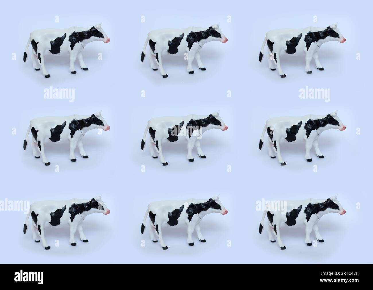 vaches jouets en plastique sur fond blanc Banque D'Images