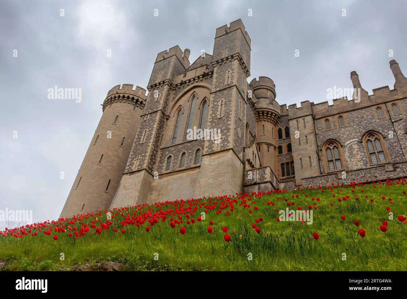 L'élévation sud-est du spectaculaire château d'Arundel, Arundel, West Sussex, Angleterre, Royaume-Uni. Un tapis de tulpes rouges couvre les pentes dans le foregro Banque D'Images