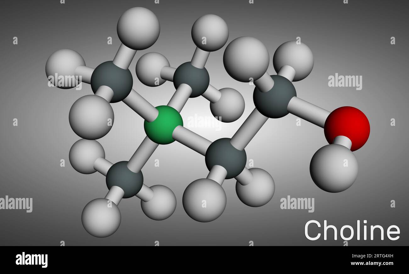 Molécule de nutrien essentielle de type vitamine choline. C'est la vitamine B4. Modèle moléculaire. Rendu 3D. Illustration Banque D'Images