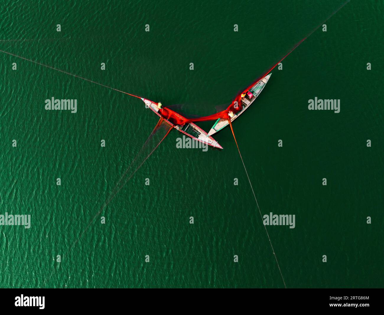 Bogra, Rajshahi, Bangladesh. 13 septembre 2023. Les pêcheurs étirent un énorme filet en utilisant une technique ancestrale pour attraper des poissons dans les eaux turquoises de la rivière Jamuna à Bogra, au Bangladesh. Les algues dans l'eau donnent à cette rivière l'air turquoise. La méthode traditionnelle de couler l'énorme filet est utilisée pour attraper de petits poissons tels que les barbes, le poisson-chat et le gourami. Ils étendent le filet dans une vaste zone et puis le tirent doucement vers le haut par ses coins afin qu'ils entourent les poissons les rendant incapables de s'échapper. Ils attrapent entre 8 kg et 10 kg de petits poissons à chaque fois et peuvent le faire jusqu'à cinq fois par jour. Malgré Banque D'Images