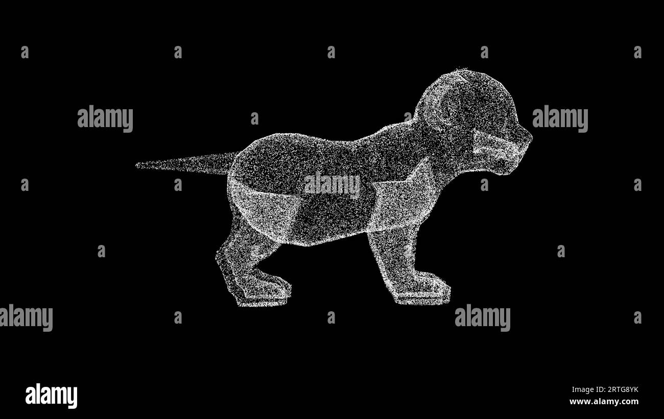 3D bébé lion sur fond noir. Concept d'animaux sauvages. Réserves naturelles et zoo. Toile de fond publicitaire d'entreprise. Pour titre, texte, présentation. 3d Banque D'Images