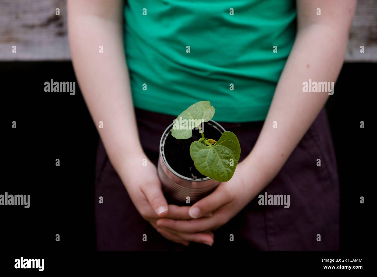 Close up of young girl hands holding a plant Banque D'Images