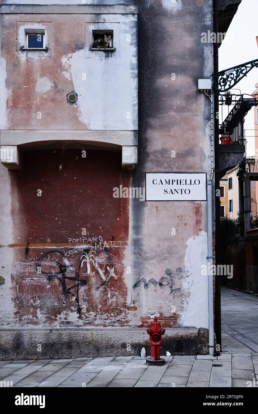 Chat assis dans la fenêtre à l'étage dans une maison de ville vénitienne, campiello Santo, Venise, Italie Banque D'Images