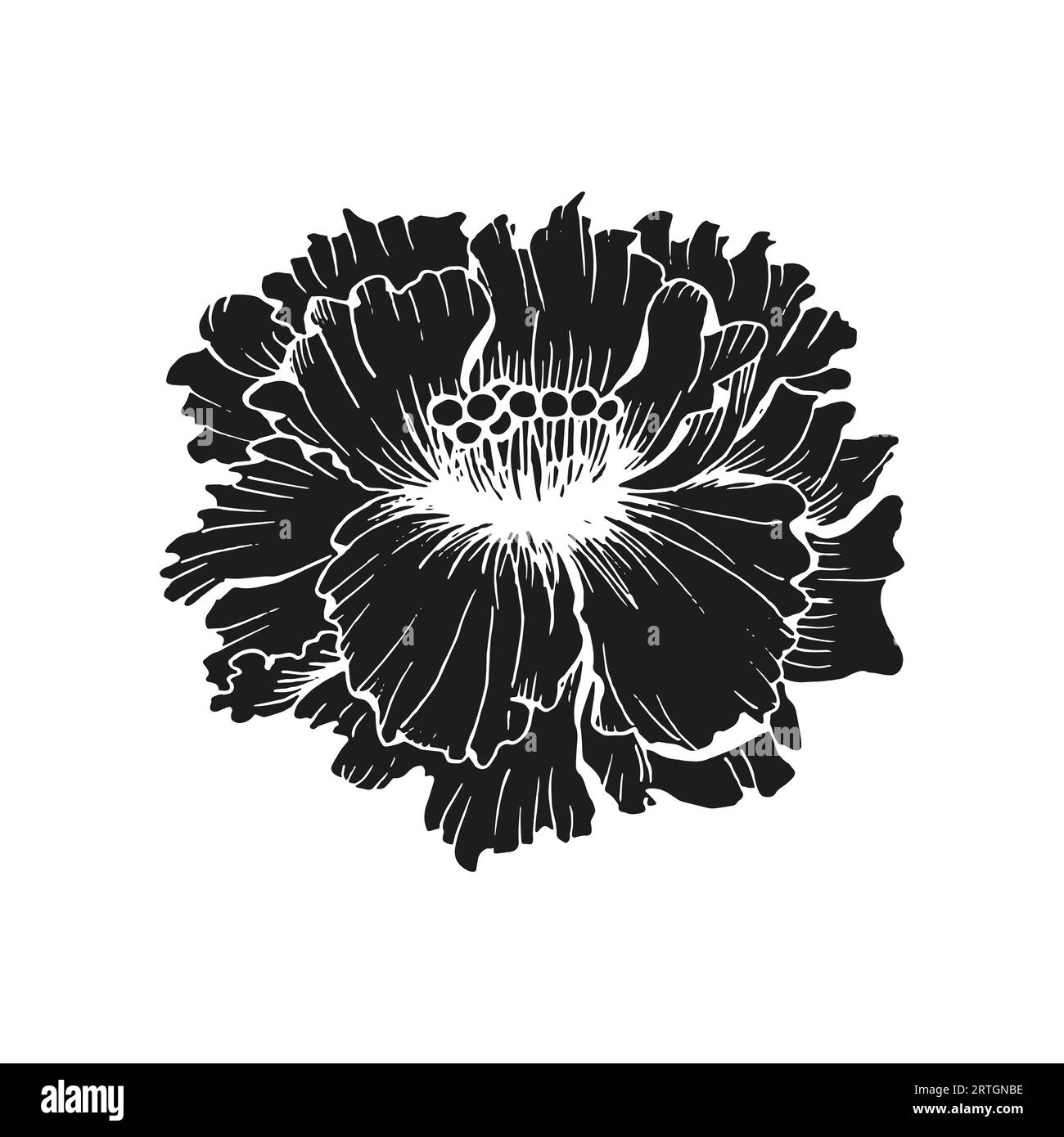 Chines pivoines cadre de couronne de fleurs pour carte de conception ou invitation dessin à l'encre florale dessiné à la main. Silhouette de péon de Chines avec des feuilles Illustration de Vecteur Chines pivoines cadre de couronne de fleurs pour carte de conception ou invitation dessin à l'encre florale dessiné à la main. Silhouette de péon de Chines avec des feuilles Illustration de Vecteur
