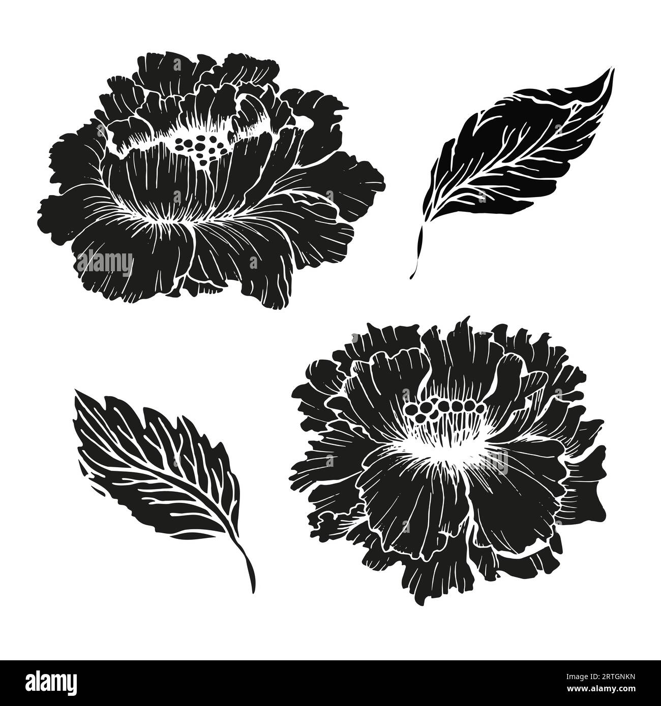 Chines pivoines cadre de couronne de fleurs pour carte de conception ou invitation dessin à l'encre florale dessiné à la main. Silhouette de péon de Chines avec des feuilles Illustration de Vecteur Chines pivoines cadre de couronne de fleurs pour carte de conception ou invitation dessin à l'encre florale dessiné à la main. Silhouette de péon de Chines avec des feuilles Illustration de Vecteur