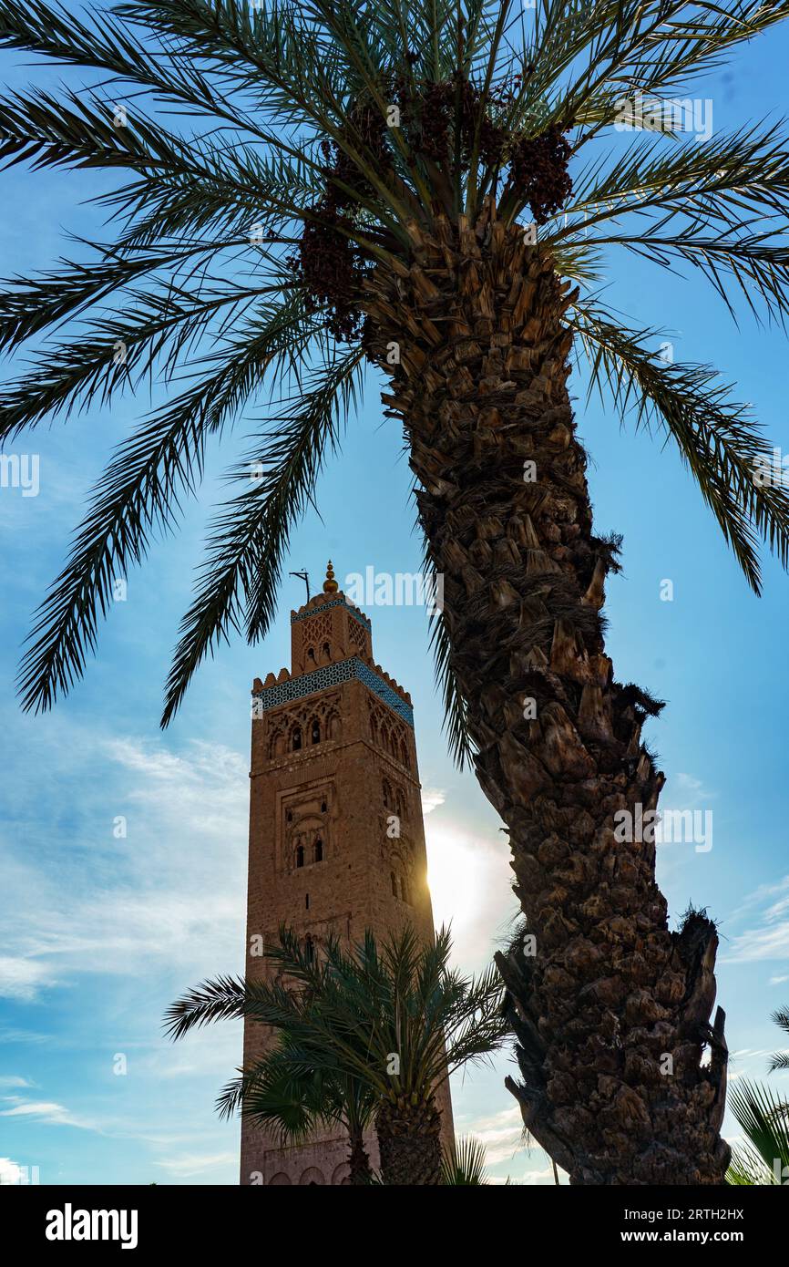 Afrique du Nord. Maroc. Marrakech. Le minaret de la Koutoubia Banque D'Images