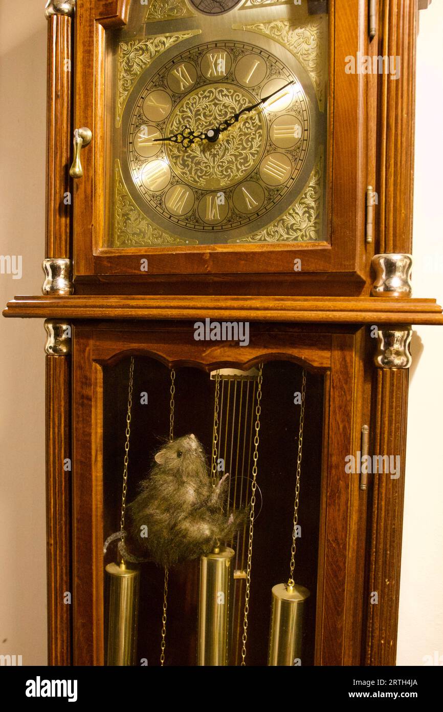La souris a couru l'horloge Banque D'Images