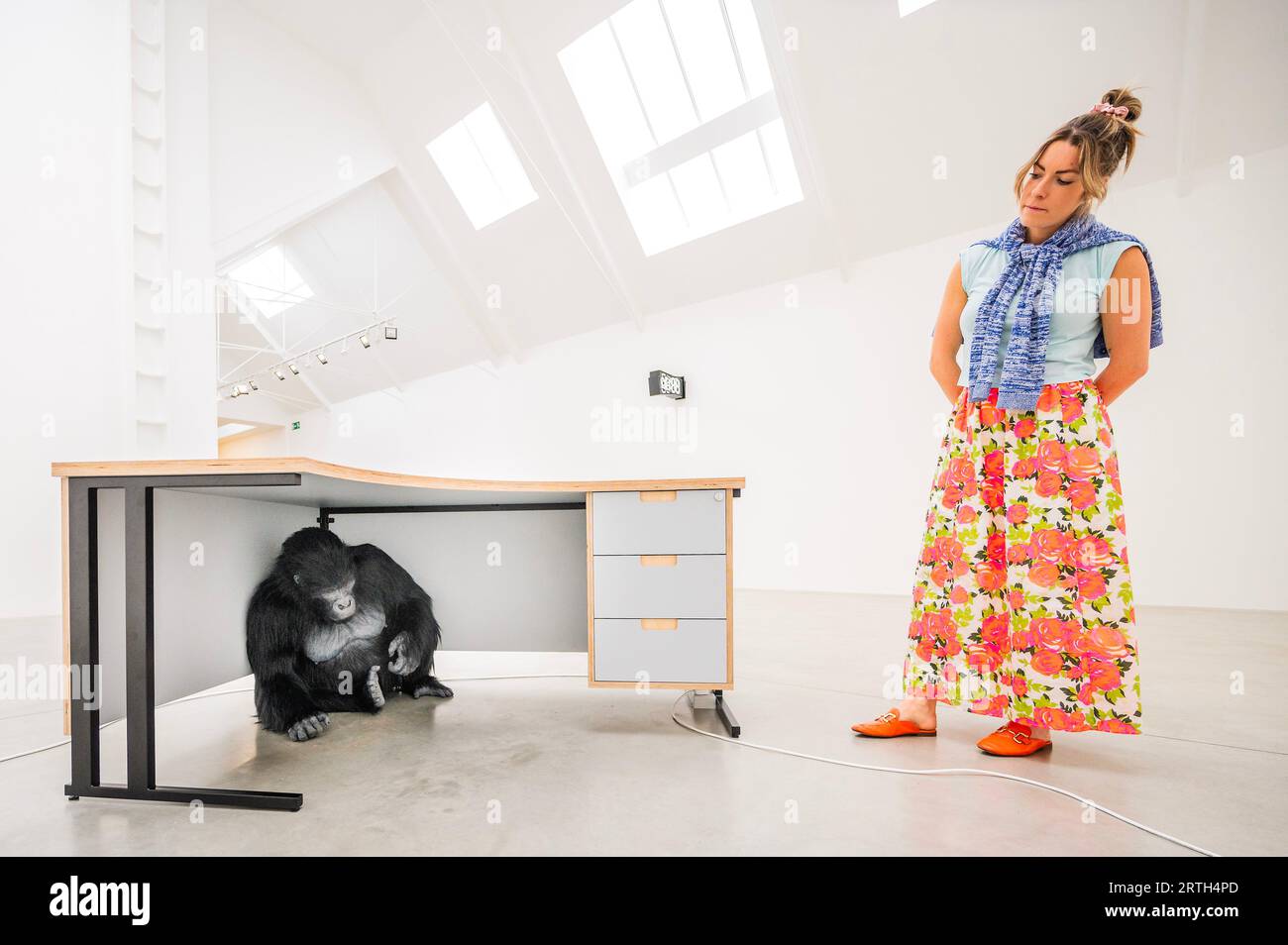 Londres, Royaume-Uni. 13 septembre 2023. Somnolé sous un bureau se trouve un gorille femelle animatronique grandeur nature - une partie de Ryan Gander JEU DE MOTS TO! Une nouvelle exposition de vente à la Galerie Lisson, qui se déroule du 14 septembre au 28 octobre 2023. Il explore la relation entre notre passé évolutif et la façon dont nous vivons aujourd’hui dans des sociétés mues par la croissance capitaliste, la vitesse et le progrès. Le gorille est décrit comme «apparemment timide, elle affiche un désir d'apprendre, utilisant les doigts pour noter / compter les unités. Le but de son acte d'enregistrement, qu'il s'agisse d'unités de temps, de monnaie ou d'une accumulation ou d'une baisse d'un Banque D'Images