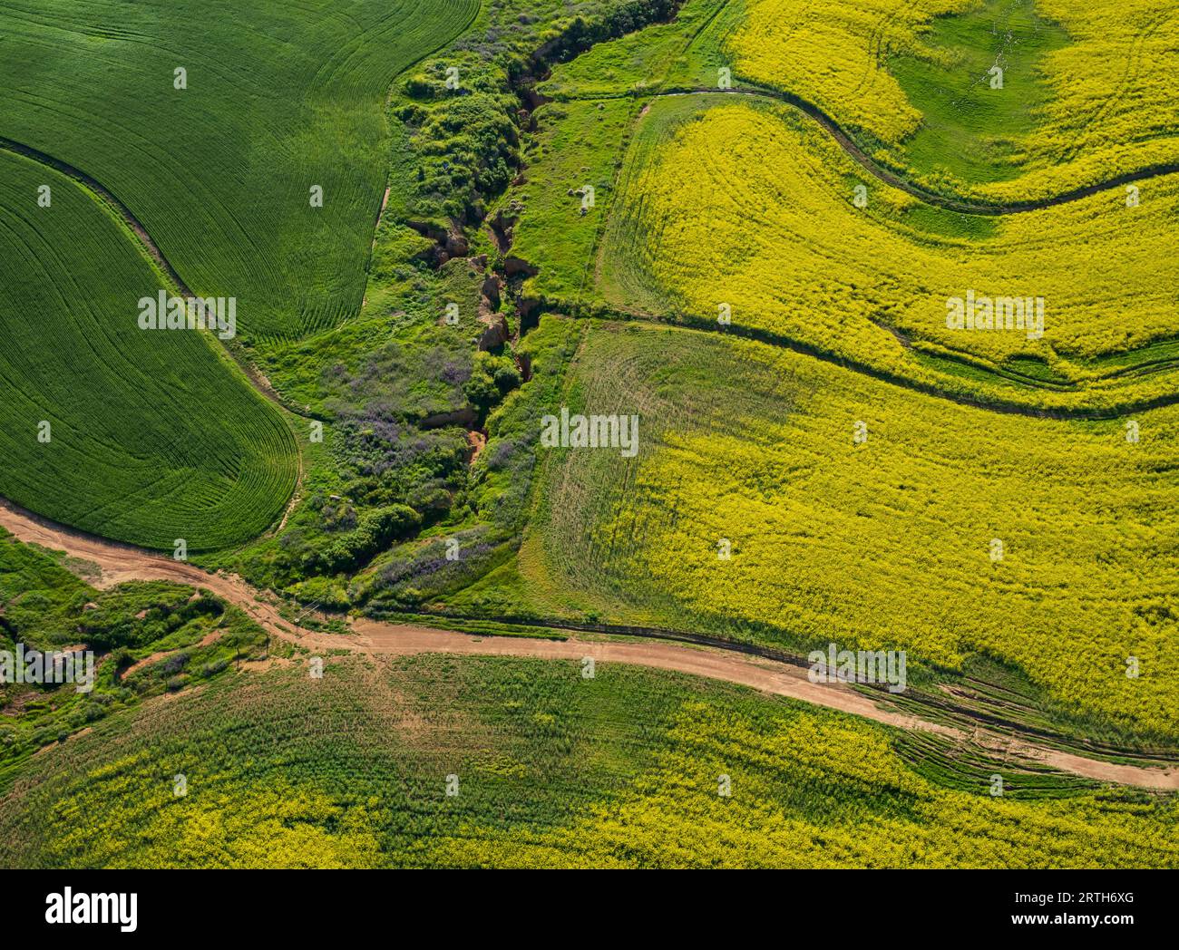 Photo aérienne de la province du Cap occidental, printemps 2023. Banque D'Images