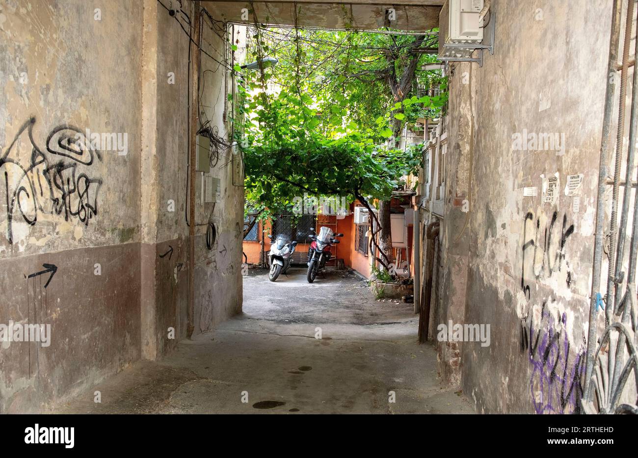 Tbilissi, Géorgie - 11 août 2023 : rue dans la vieille ville de Tbilissi. Ancienne cour de bâtiment residencial avec des raisins lierre et des vélos Banque D'Images