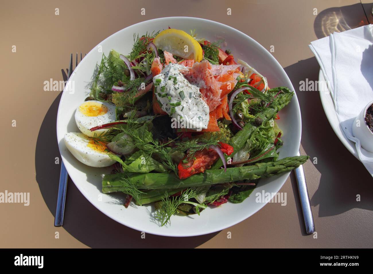 Salade avec saumon, œuf et asperges vertes sur une assiette blanche Banque D'Images