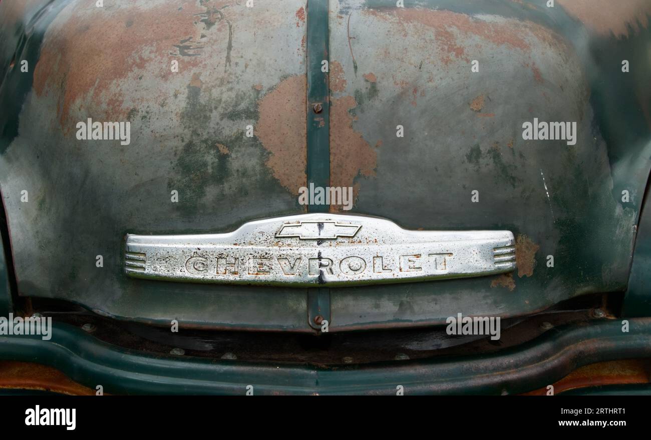 Emblème Chevrolet sur le capot avec rouille et peinture usée d'Un camion Chevrolet Advance Design 3600 des années 1950, camion Angleterre Royaume-Uni Banque D'Images