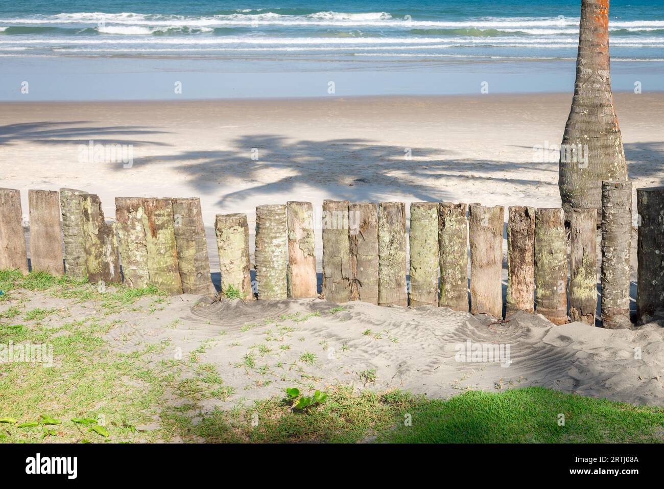 Clôture en bois de tronc de palmier dans la plage de forêt tropicale au Brésil Banque D'Images