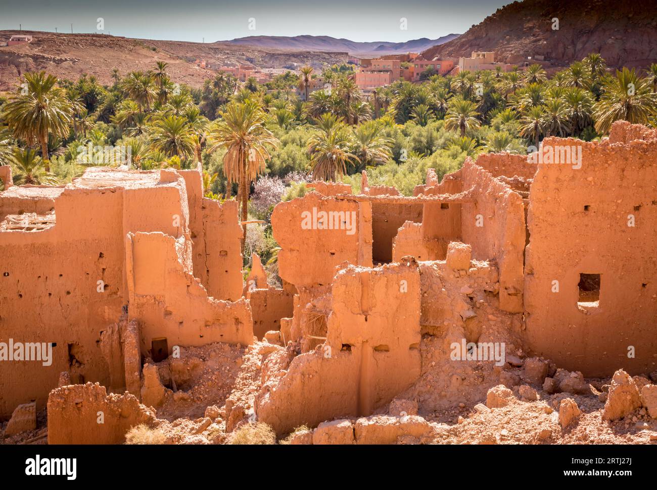 Ruines antiques abandonnées de kasbah au milieu d'oasis de palmiers à Tinghir Maroc. Les ruines de la maison en briques de boue se dressent le long d'une oasis verte Banque D'Images