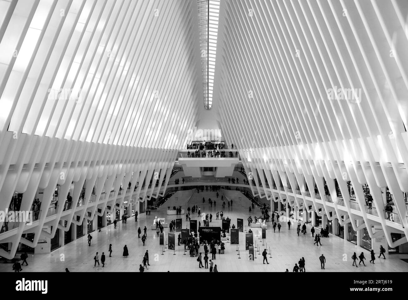 New York, États-Unis d'Amérique, 18 novembre 2016 : vue intérieure de la gare Oculus au World Trade Center Banque D'Images
