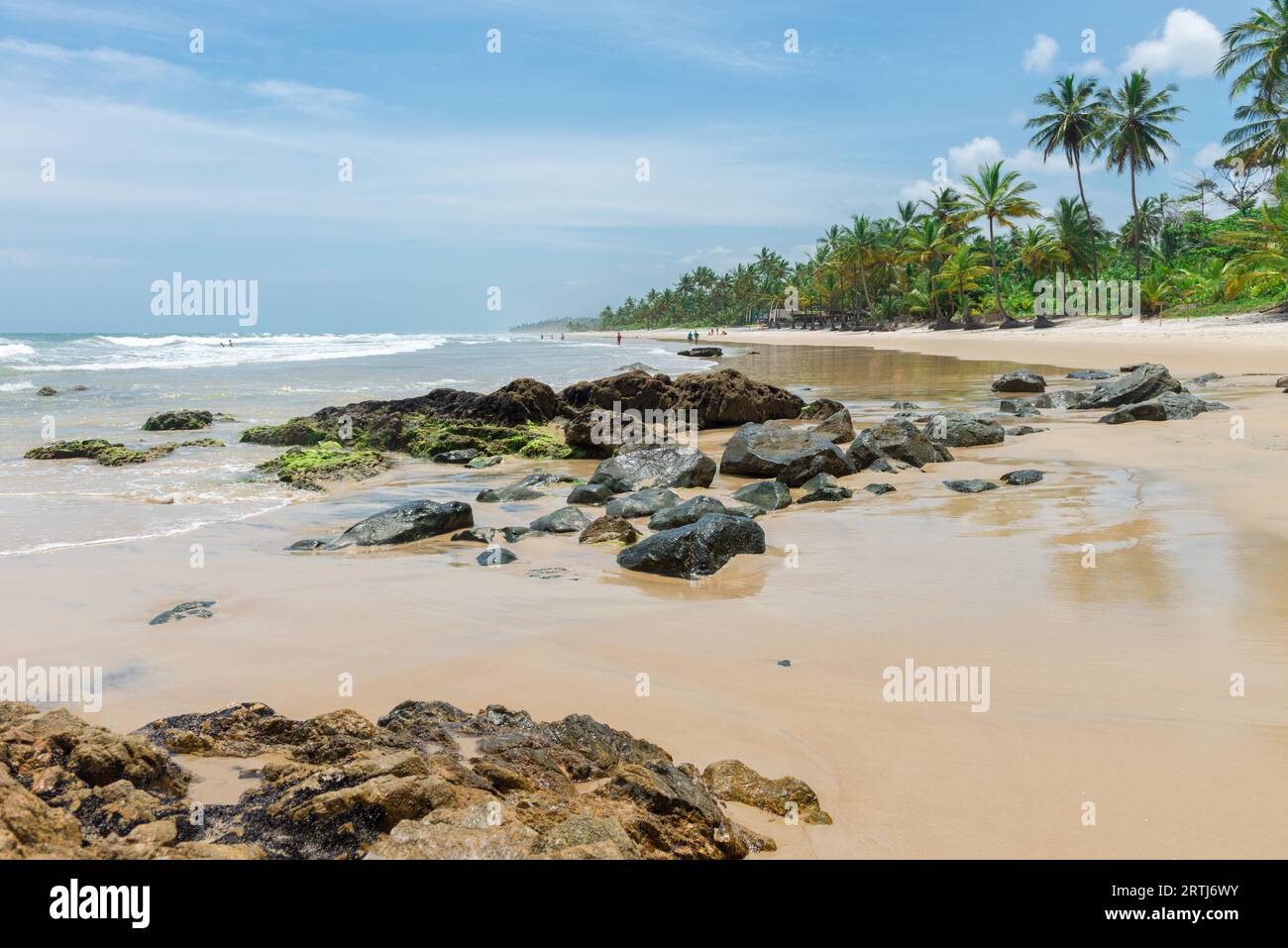 Itacare, Brésil, le 7 décembre 2016 : une nature verdoyante à la plage Itacarezinho à Bahia Banque D'Images