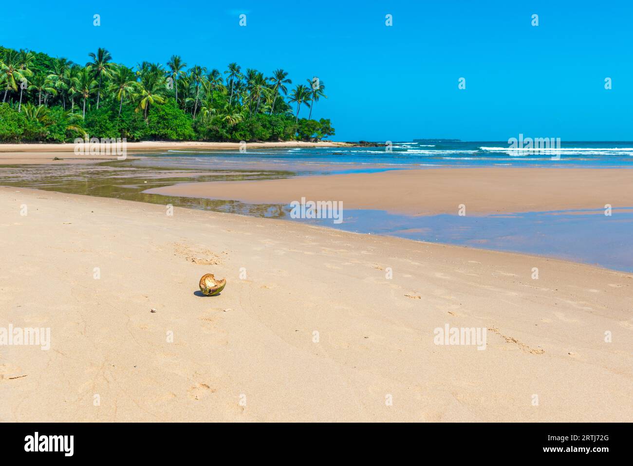 Noix de coco séché sur le sol de sable de plage Banque D'Images