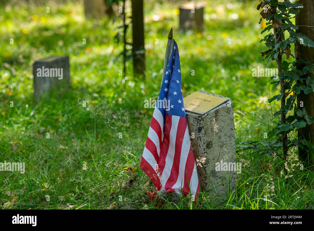 Drapeau américain à la pierre commémorative pour un soldat tombé au Bois de la paix, site commémoratif de la bataille des Ardennes à Bizory, Bastogne, Belgique Banque D'Images