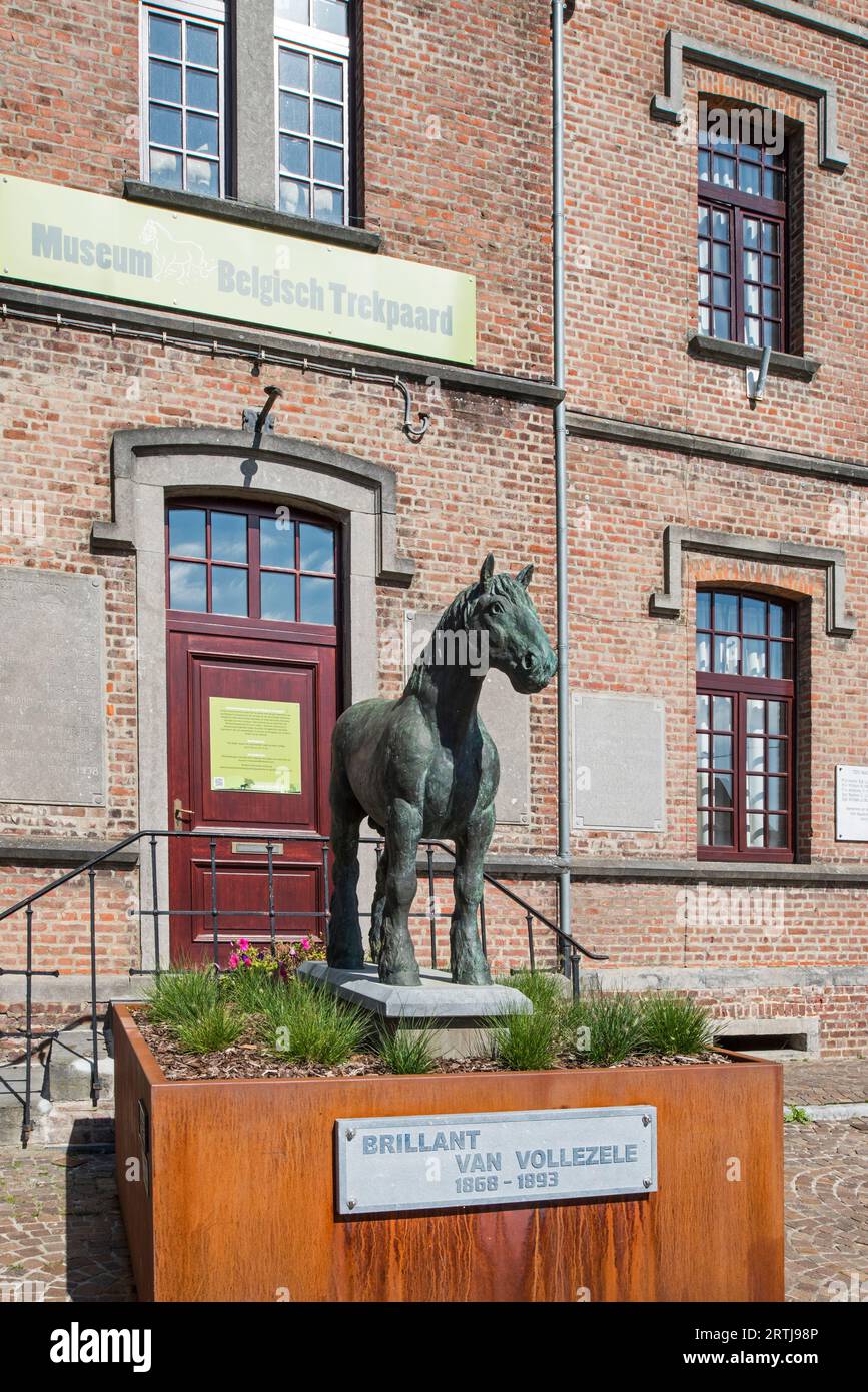 Cheval de trait belge / Belgisch Trekpaard Musée et statue de l'étalon brillant à Vollezele, Galmaarden, Brabant flamand, Flandre, Belgique Banque D'Images