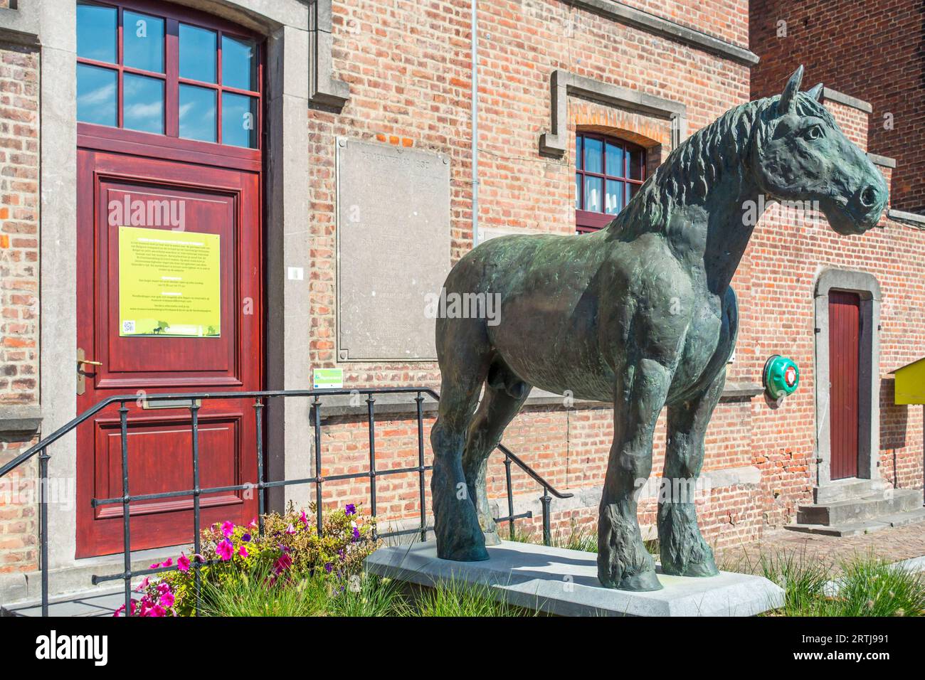 Statue de l'étalon brillant devant le Belgian Draft Horse / Belgisch Trekpaard Museum à Vollezele, Galmaarden, Brabant flamand, Belgique Banque D'Images