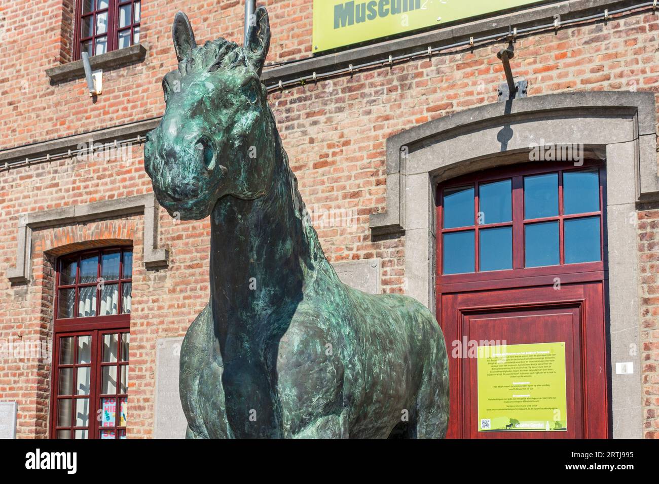 Statue de l'étalon brillant devant le Belgian Draft Horse / Belgisch Trekpaard Museum à Vollezele, Galmaarden, Brabant flamand, Belgique Banque D'Images