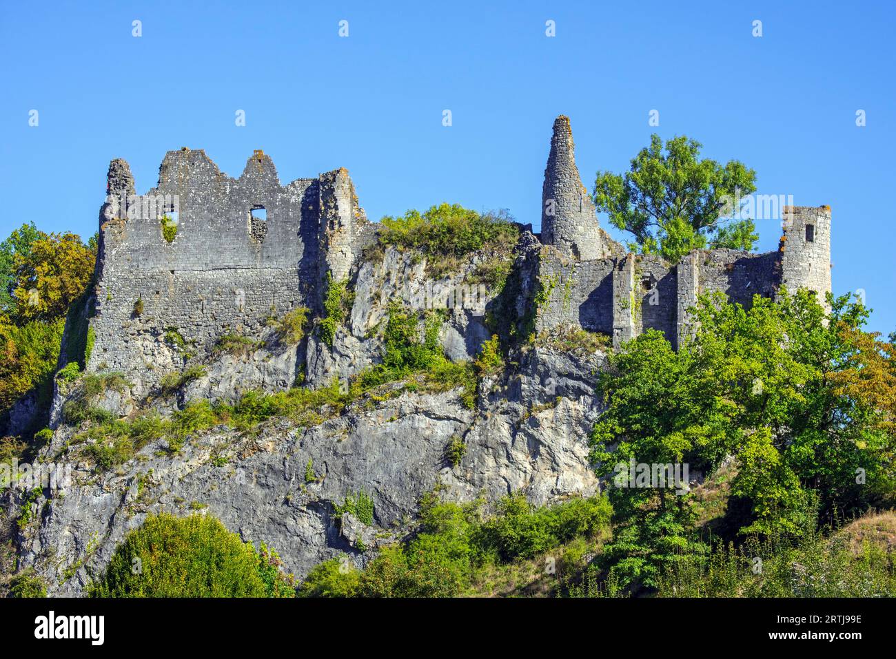 Château de Montaigle en été, château médiéval en ruine du 14e siècle à Falaën, Onhaye, province de Namur, Wallonie, Ardennes belges, Belgique Banque D'Images