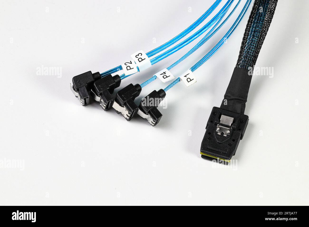 Câble de conversion Mini SAS vers SATA Serial ATA, bleu avec isolation de cible à 90 degrés sur fond blanc Banque D'Images