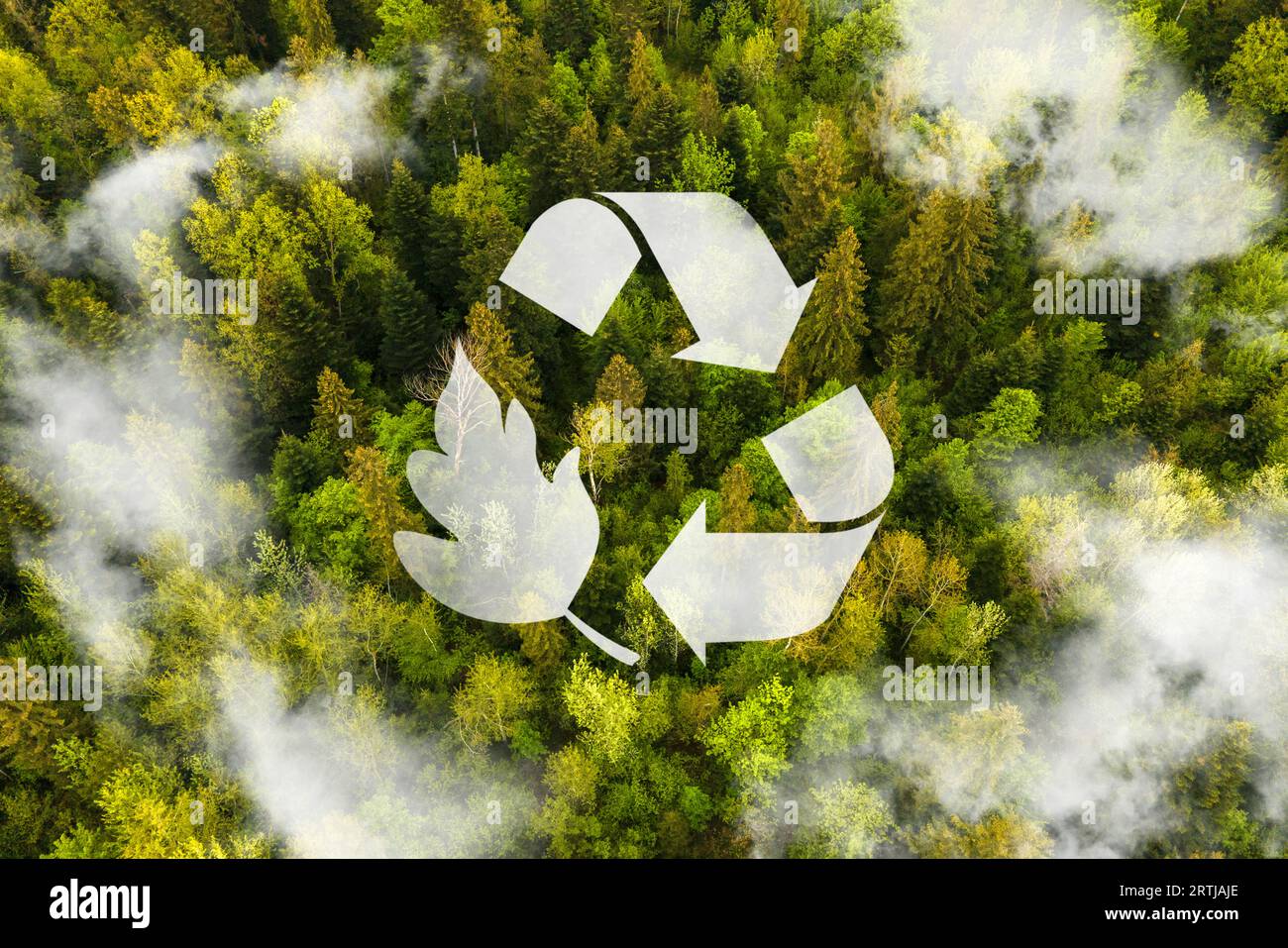 Concept de signalisation recyclé au milieu de la beauté naturelle de l'environnement naturel. Métaphore écologique pour la gestion écologique des déchets et durable. Banque D'Images