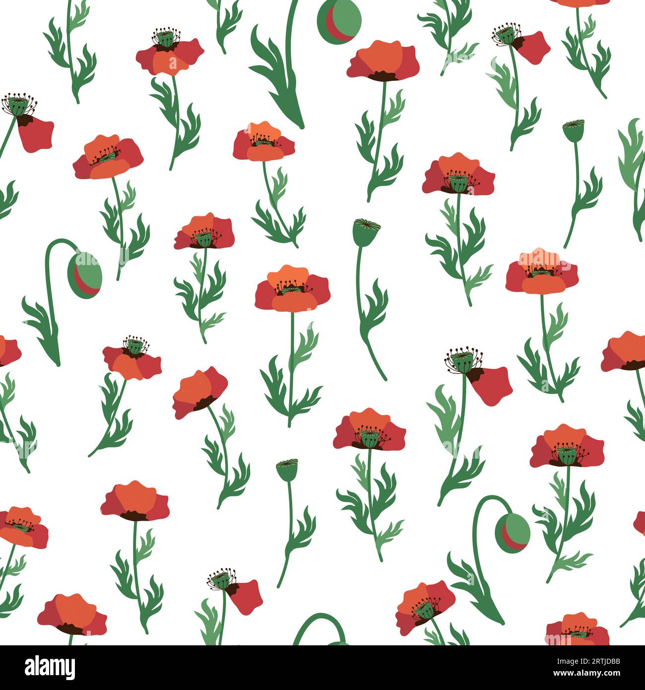 Motif sans couture d'été avec des fleurs de coquelicot rouge vif et des gousses de coquelicot. Champ, prairie de coquelicots. Illustration de Vecteur