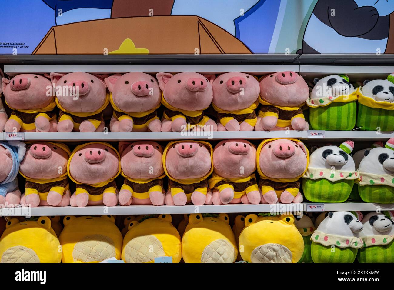 Les « jouets en peluche de porc » font généralement référence à des représentations de jouets en peluche de porcs. Banque D'Images