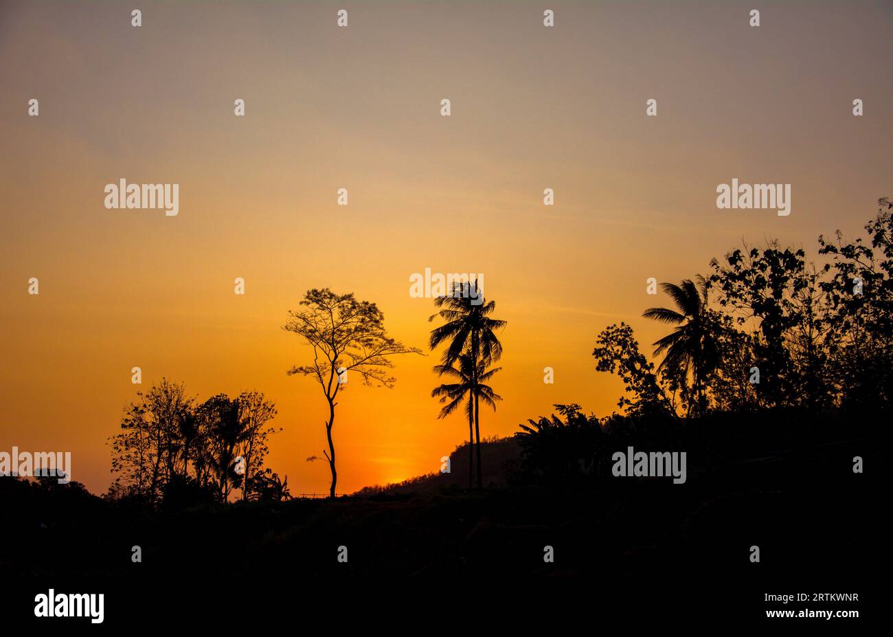 Une silhouette d'arbres et de collines et de beaux couchers de soleil à Yogyakarta Banque D'Images