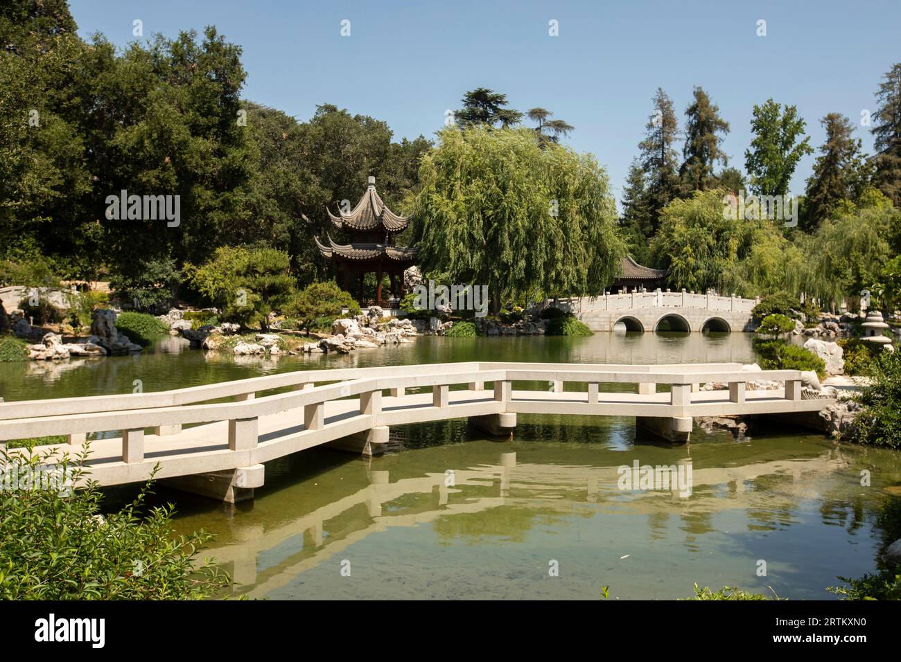 Saint-Marin, Californie, États-Unis, 11 juin 2022 : la lumière du soleil de l'après-midi brille sur le jardin chinois - jardin de parfum fluide à la bibliothèque Huntington. Banque D'Images