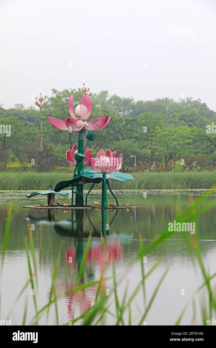 Paysage de sculpture de Lotus dans le lac, Chine du Nord Banque D'Images