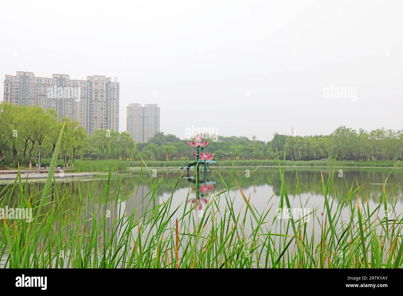 Paysage de sculpture de Lotus dans le lac, Chine du Nord Banque D'Images