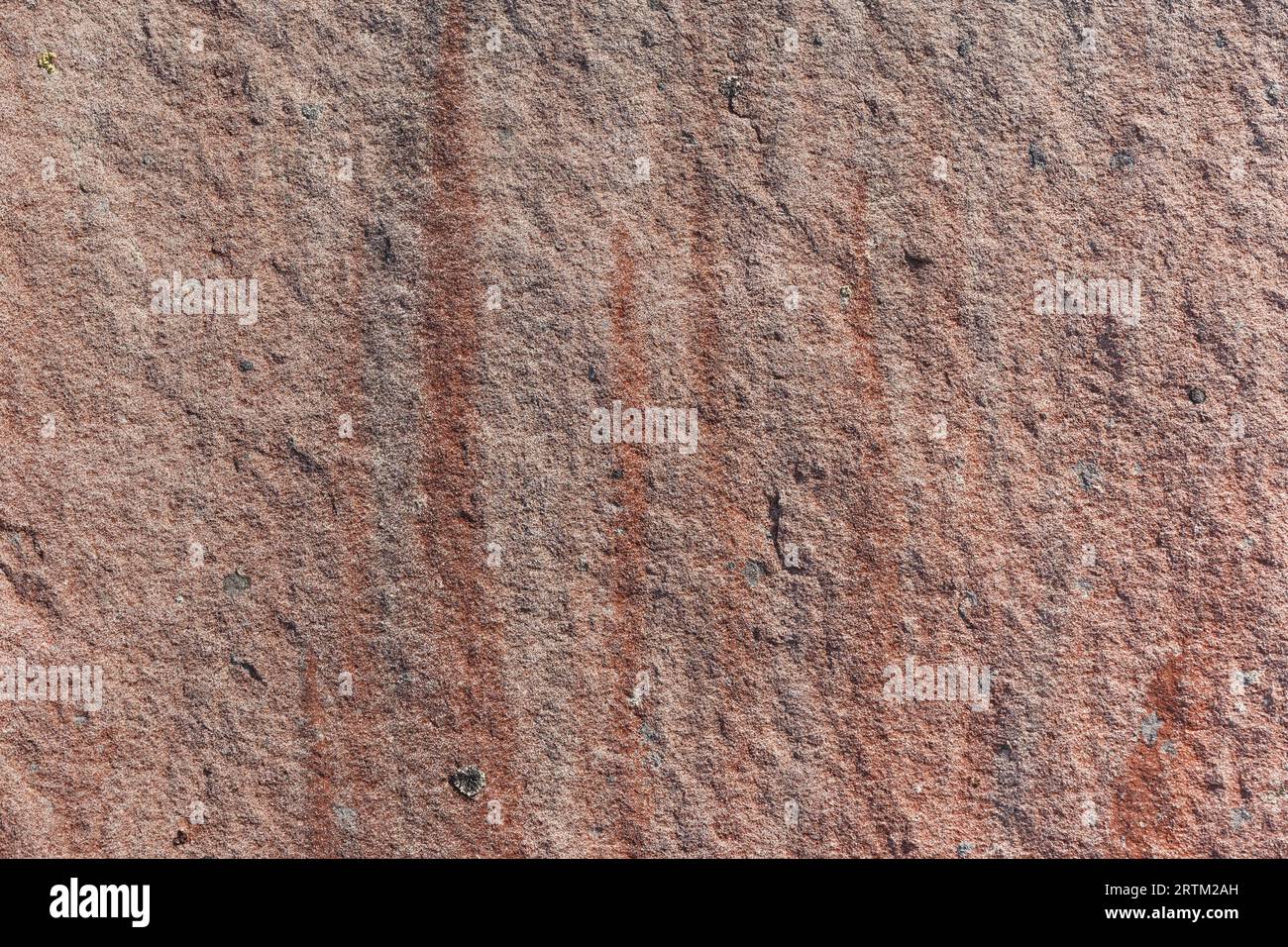 Détail de texture de pierre de sable, plan rapproché de la surface de la roche. Idée de fond Banque D'Images