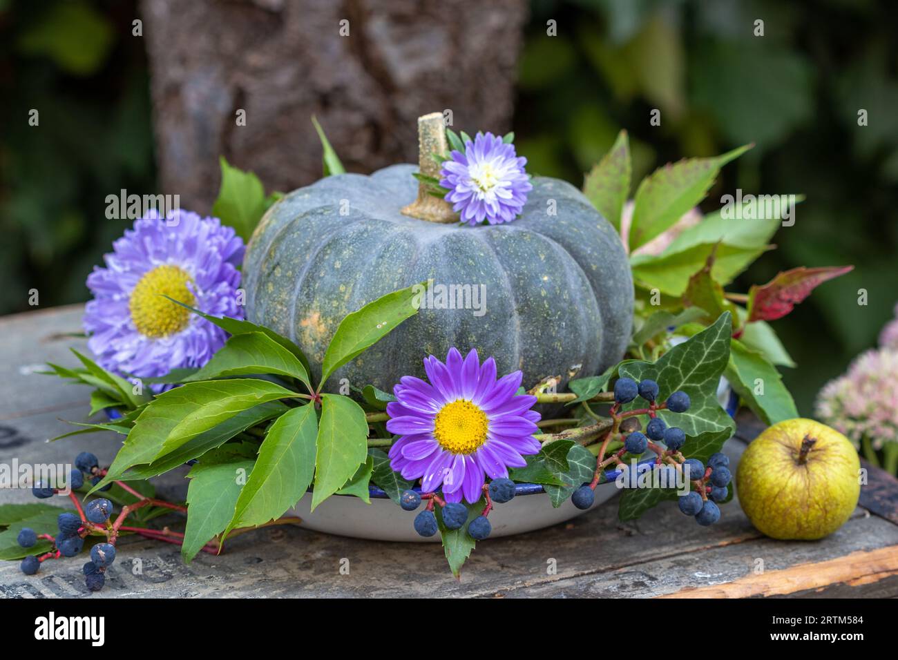 arrangement d'automne avec citrouille verte, couronne de feuilles et de baies rampantes de virginie et fleurs d'aster violettes Banque D'Images