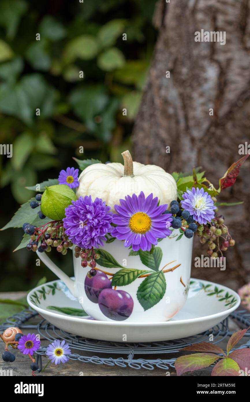 arrangement floral avec citrouille blanche et asters violets dans une tasse Banque D'Images