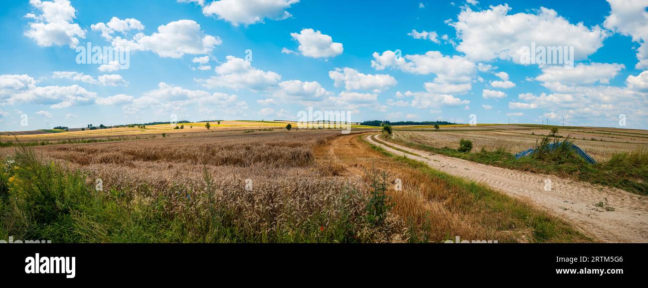 Beau panorama de collines et de champs. Ciel bleu avec peu de nuages. Un chemin de terre au premier plan. Région de Roztocze. Narol, Pologne orientale. Banque D'Images