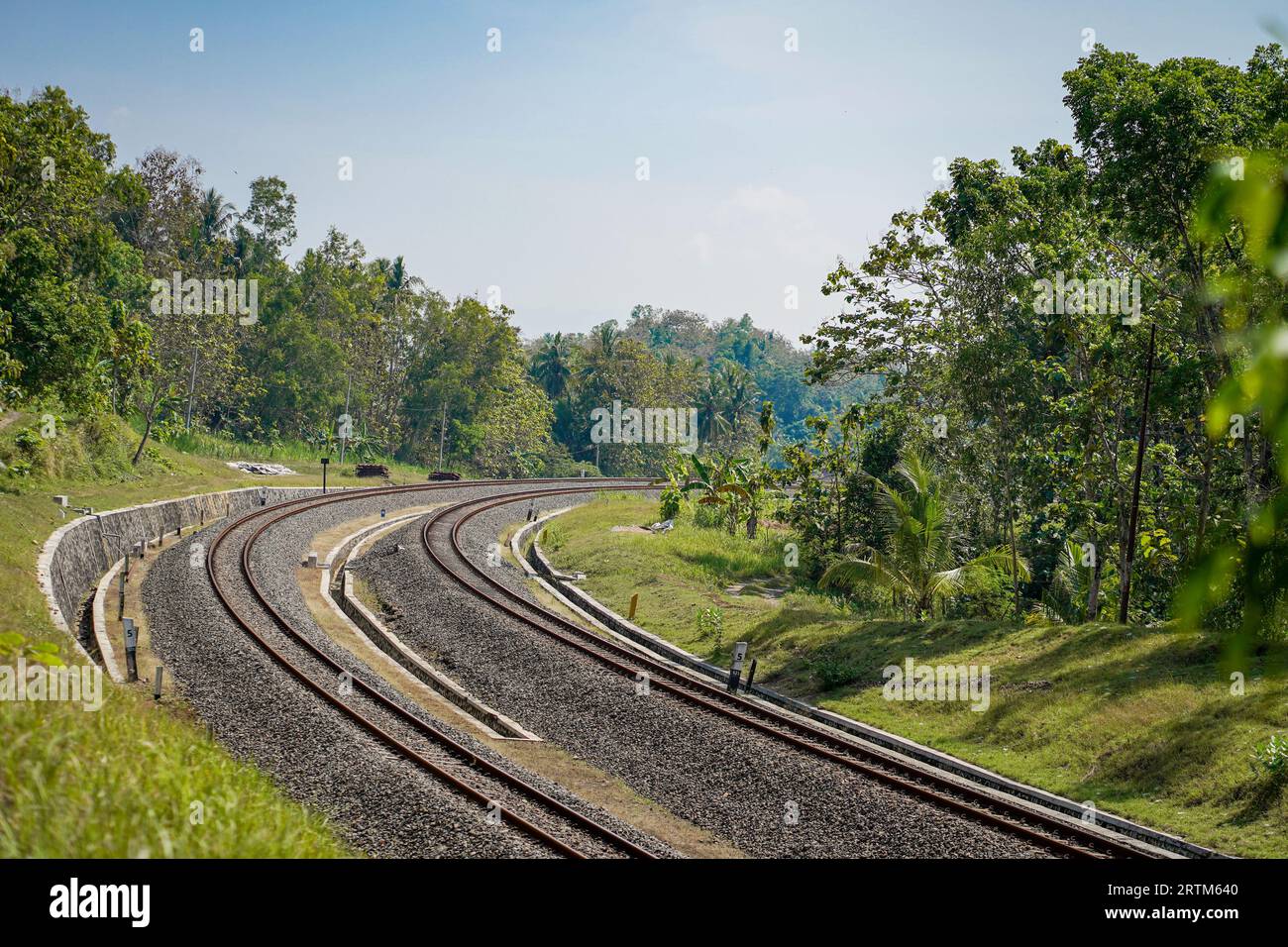 voie ferrée à 2 voies avec vues à gauche et à droite de la forêt dense pendant la journée Banque D'Images