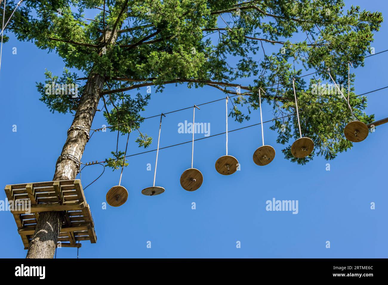Plate-forme et autres équipements suspendus en l'air sur des arbres dans le parc d'aventure suspendu Pizzorne, Lucca, Italie Banque D'Images