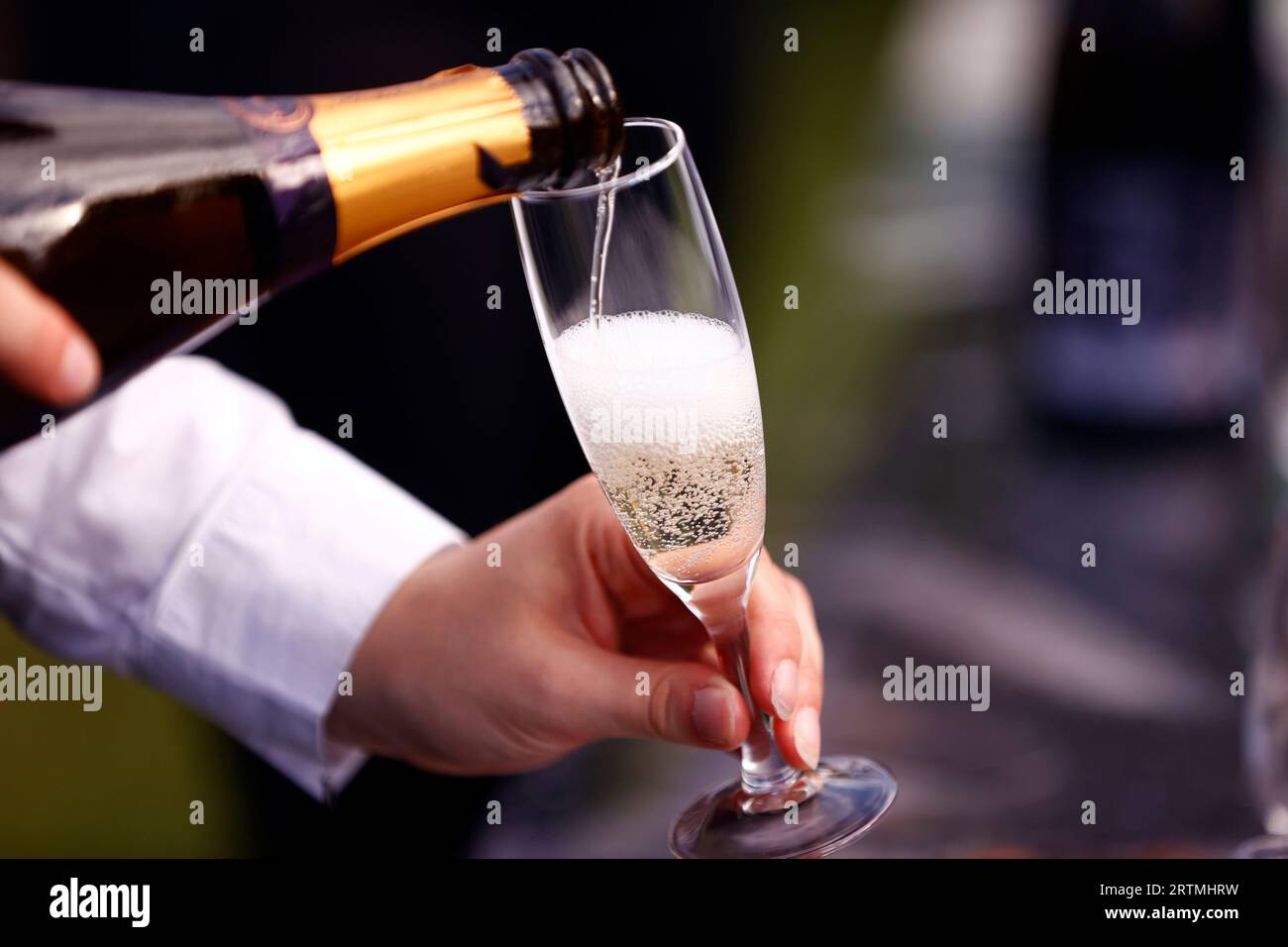 Main tenant un verre de champagne frais. Buffet et fête. France. Banque D'Images