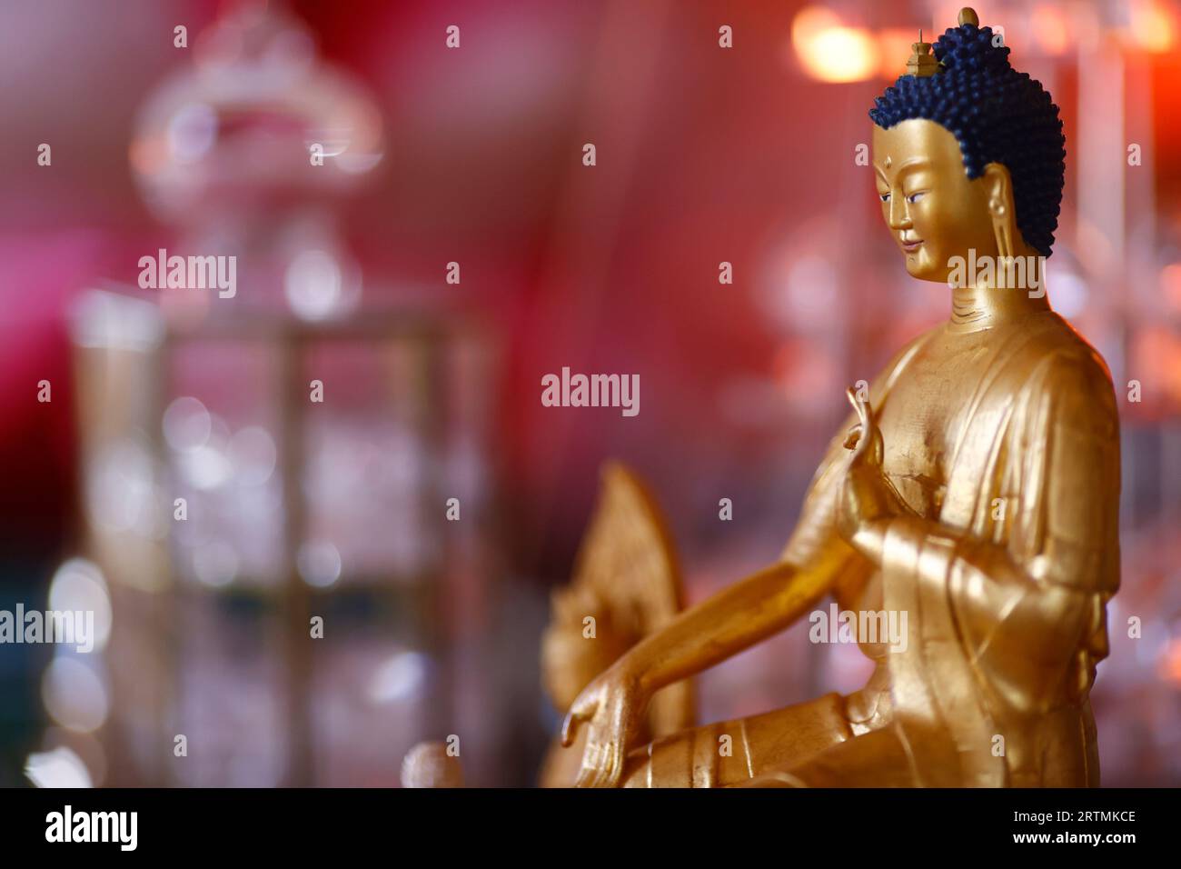 Tu un temple bouddhiste. Statue de Bouddha doré. Banque D'Images Tu un temple bouddhiste. Statue de Bouddha doré. Banque D'Images