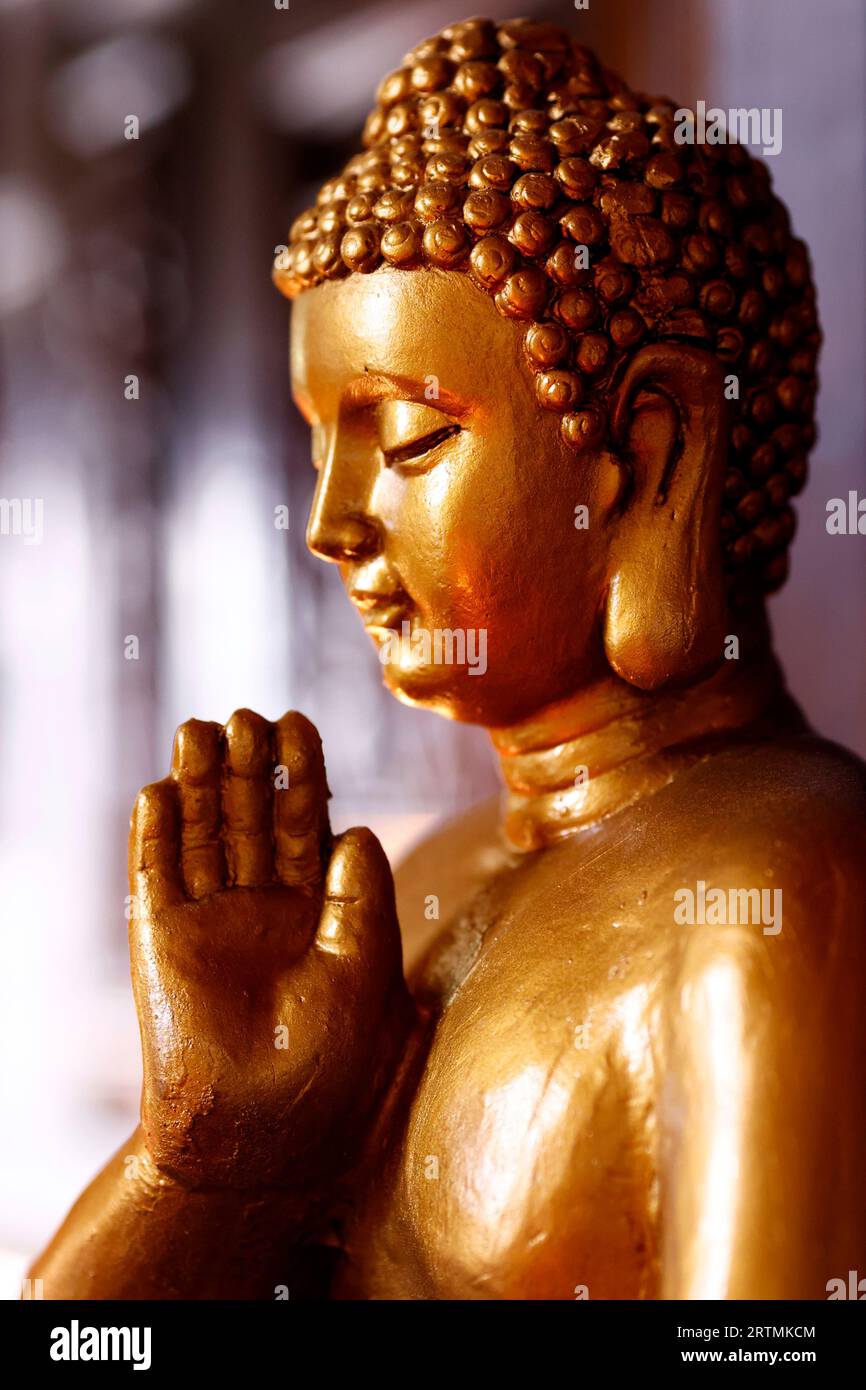 Tu un temple bouddhiste. Statue de Bouddha doré. Banque D'Images Tu un temple bouddhiste. Statue de Bouddha doré. Banque D'Images